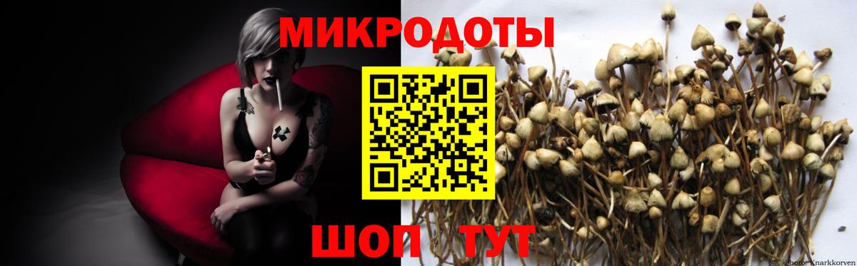 Псилоцибиновые грибы мухоморы Белогорск